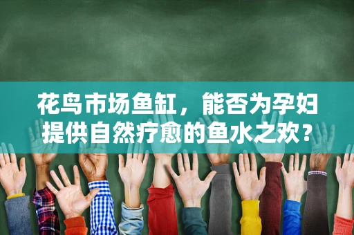 花鸟市场鱼缸，能否为孕妇提供自然疗愈的鱼水之欢？