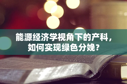 能源经济学视角下的产科，如何实现绿色分娩？