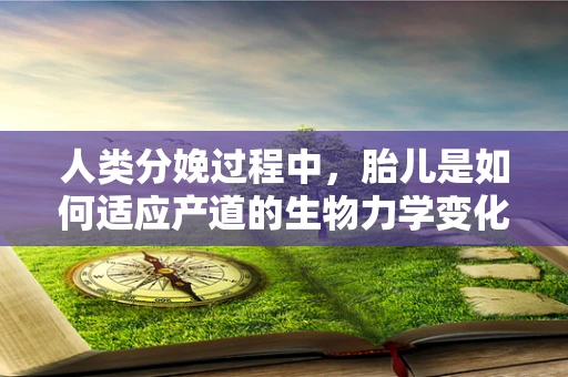 人类分娩过程中，胎儿是如何适应产道的生物力学变化？