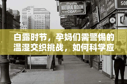 白露时节，孕妈们需警惕的温湿交织挑战，如何科学应对分娩中的湿冷感？