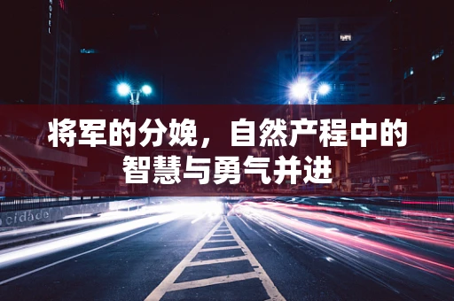 将军的分娩，自然产程中的智慧与勇气并进