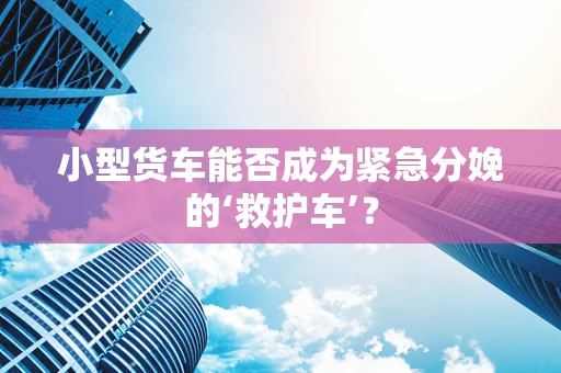 小型货车能否成为紧急分娩的‘救护车’？