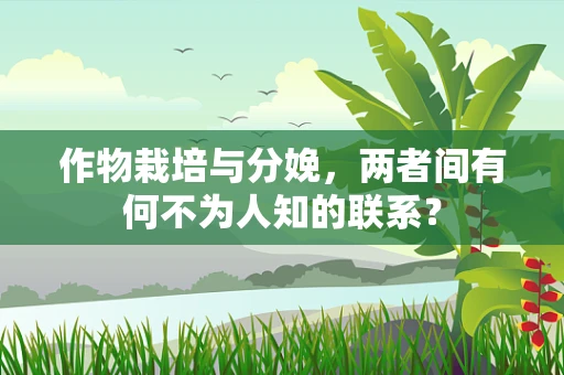 作物栽培与分娩，两者间有何不为人知的联系？