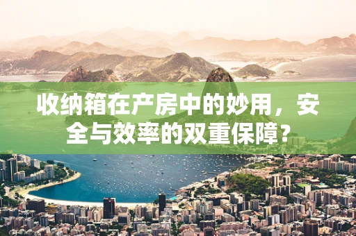 收纳箱在产房中的妙用，安全与效率的双重保障？