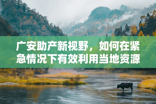 广安助产新视野，如何在紧急情况下有效利用当地资源进行快速救援？