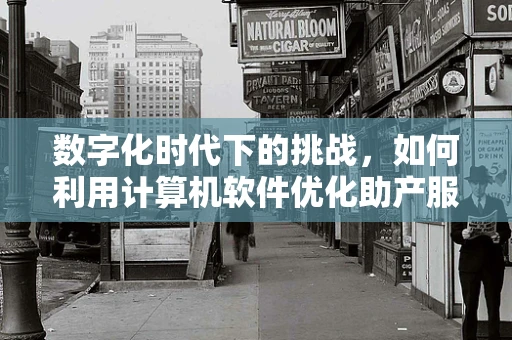 数字化时代下的挑战，如何利用计算机软件优化助产服务？