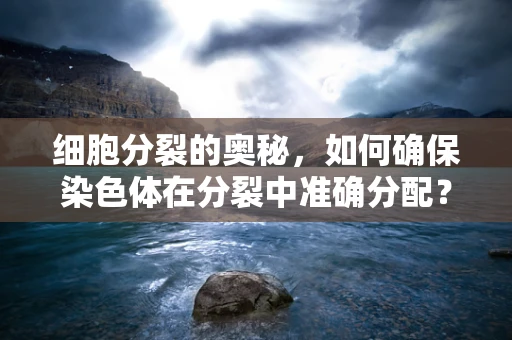 细胞分裂的奥秘，如何确保染色体在分裂中准确分配？