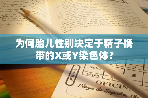 为何胎儿性别决定于精子携带的X或Y染色体？