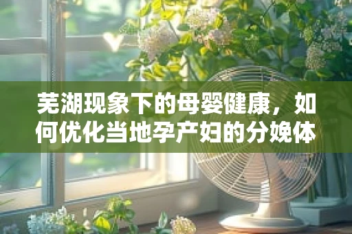 芜湖现象下的母婴健康，如何优化当地孕产妇的分娩体验？