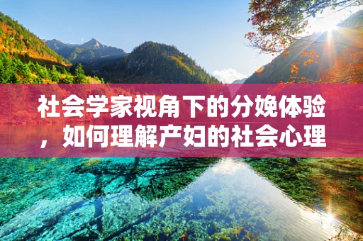 社会学家视角下的分娩体验，如何理解产妇的社会心理因素？