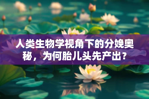 人类生物学视角下的分娩奥秘，为何胎儿头先产出？