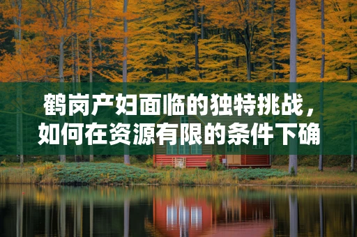 鹤岗产妇面临的独特挑战，如何在资源有限的条件下确保安全分娩？