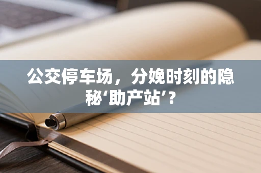 公交停车场，分娩时刻的隐秘‘助产站’？