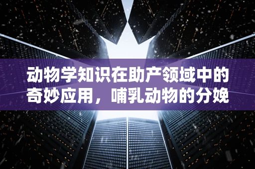 动物学知识在助产领域中的奇妙应用，哺乳动物的分娩行为能教会我们什么？