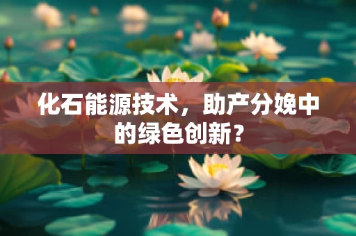 化石能源技术，助产分娩中的绿色创新？