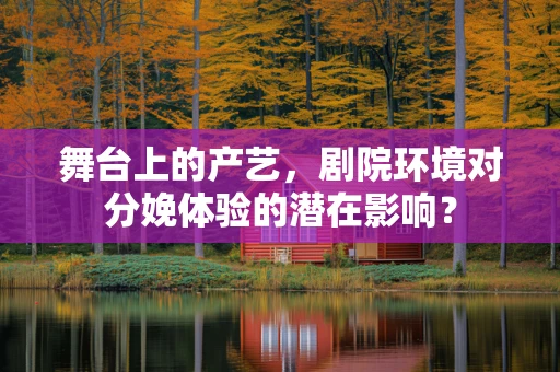 舞台上的产艺，剧院环境对分娩体验的潜在影响？