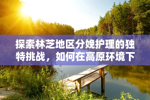 探索林芝地区分娩护理的独特挑战，如何在高原环境下保障母婴安全？