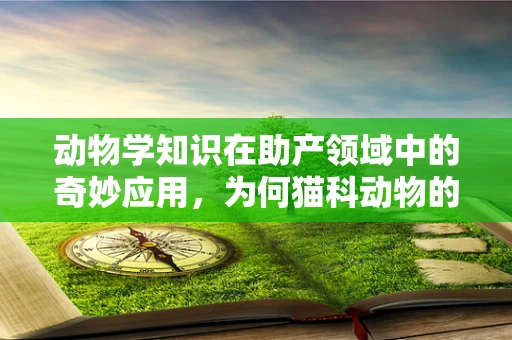 动物学知识在助产领域中的奇妙应用，为何猫科动物的习性对分娩有帮助？